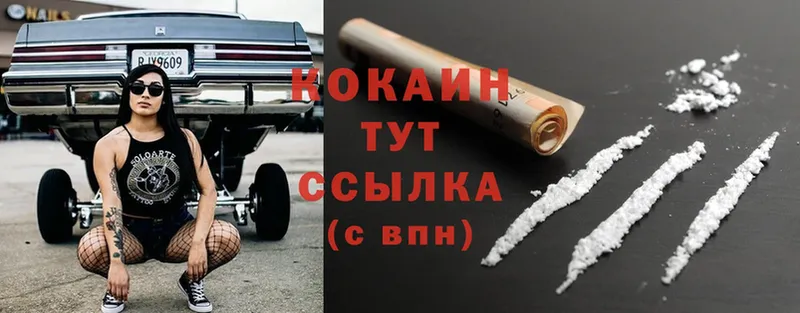 сколько стоит  Бавлы  Cocaine Fish Scale 