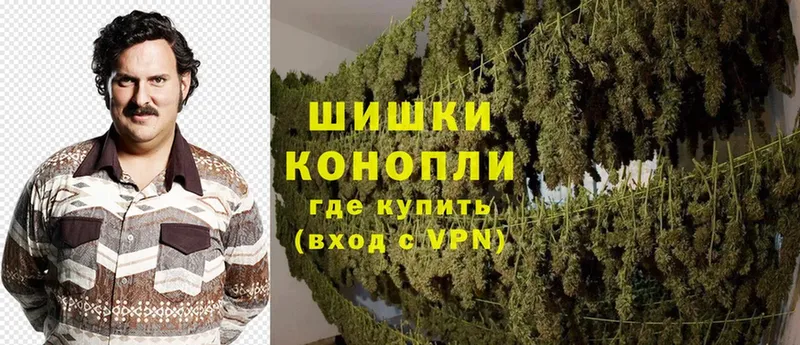 Каннабис OG Kush  блэк спрут ссылка  Бавлы 